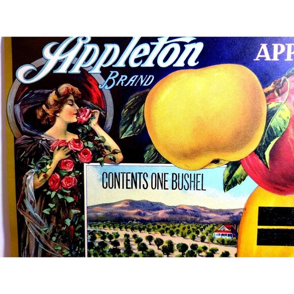 Appleton Apples Fruit Crate Label Art Nouveau Women Rose Original Vintage 1920's - Picture 1 of 5